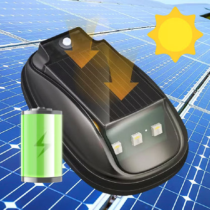 Éclairage RGB pour toits de voiture à énergie solaire