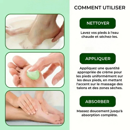 Crème hydratante pour les pieds à l'huile de tea tree et à l'Aloe Vera