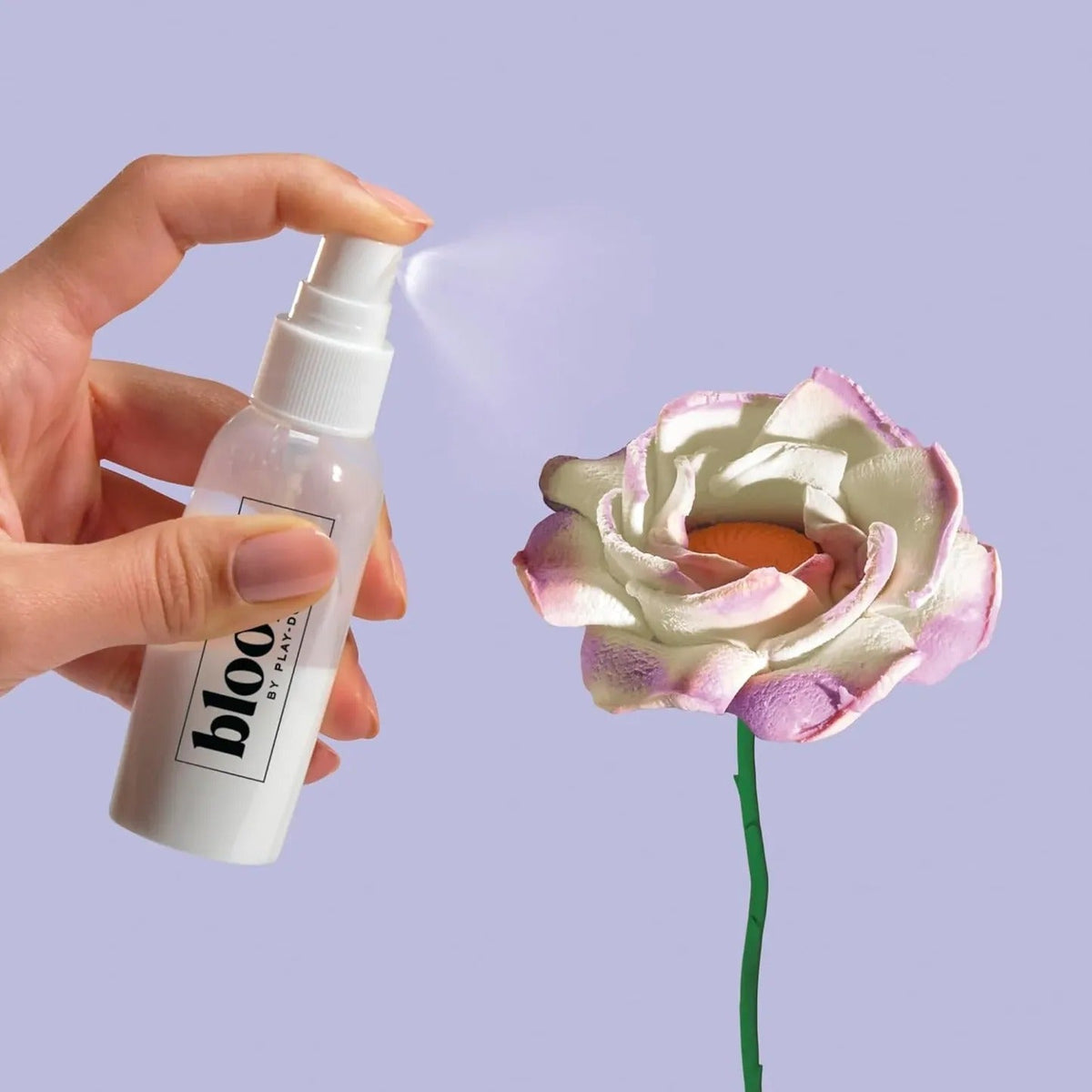 Créer un bouquet de fleurs avec les fleurs Blooms Meadow