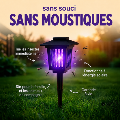 Lampe anti-moustiques
