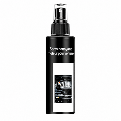 Spray nettoyant moteur