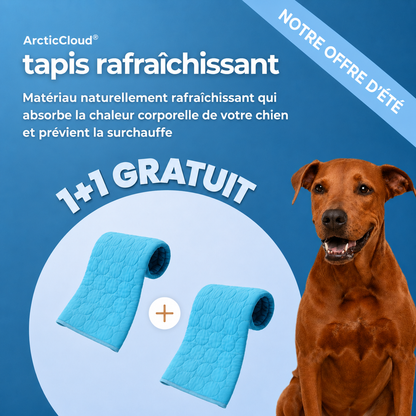 ArcticCloud® - Tapis rafraîchissant pour chien (1+1 OFFERT)