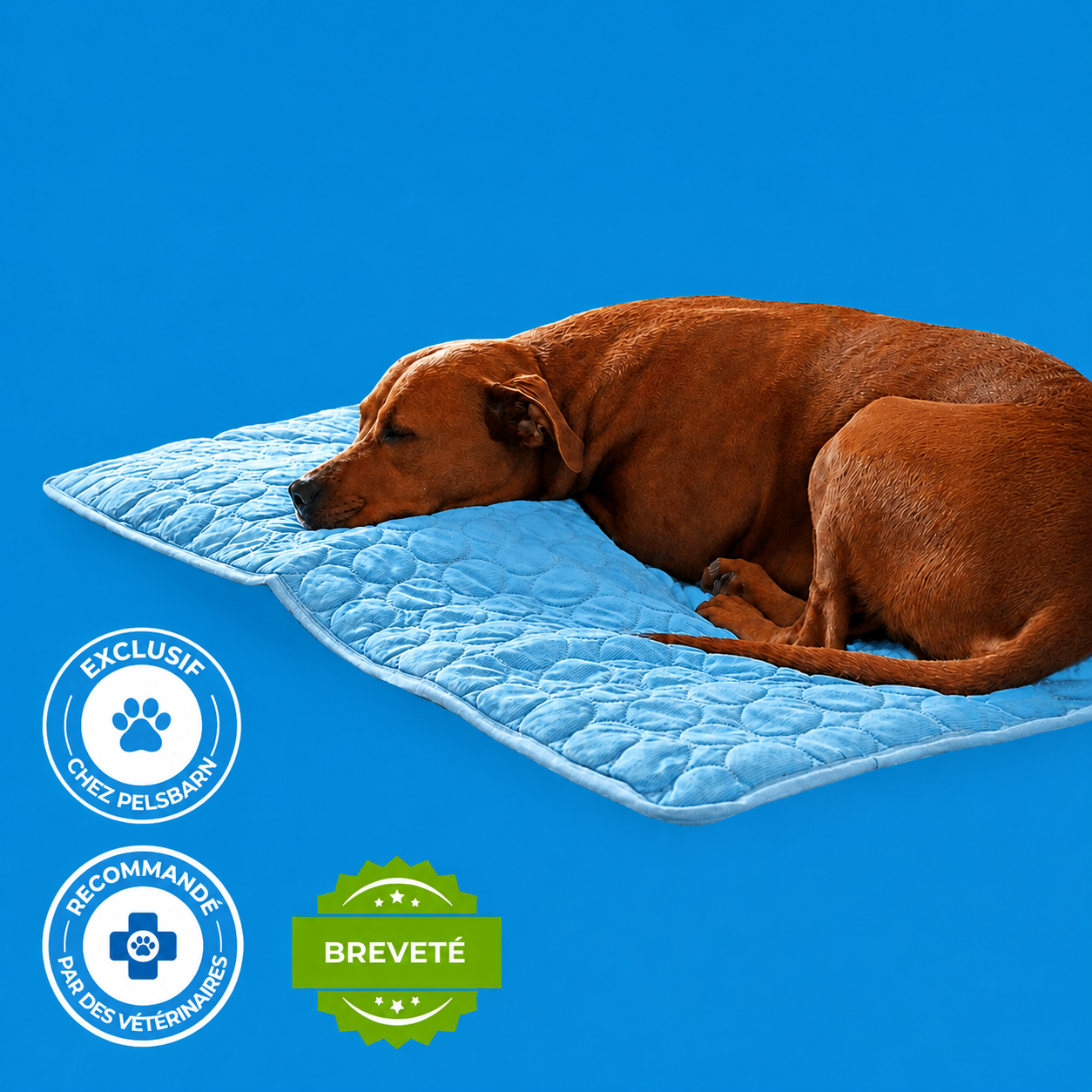 ArcticCloud® - Tapis rafraîchissant pour chien (1+1 OFFERT)