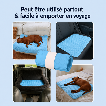 ArcticCloud® - Tapis rafraîchissant pour chien (1+1 OFFERT)