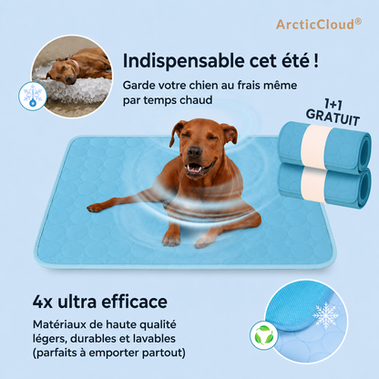 ArcticCloud® - Tapis rafraîchissant pour chien (1+1 OFFERT)