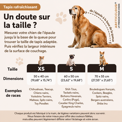 ArcticCloud® - Tapis rafraîchissant pour chien (1+1 OFFERT)