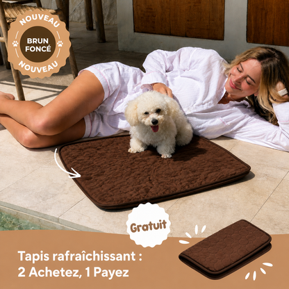 ArcticCloud® - Tapis rafraîchissant pour chien (1+1 OFFERT)