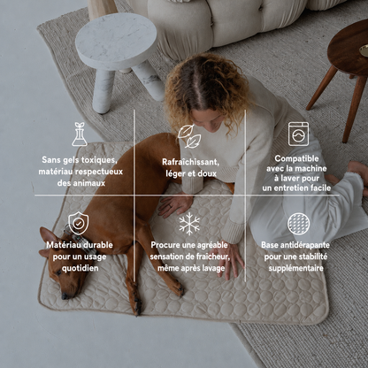 ArcticCloud® - Tapis rafraîchissant pour chien (1+1 OFFERT)