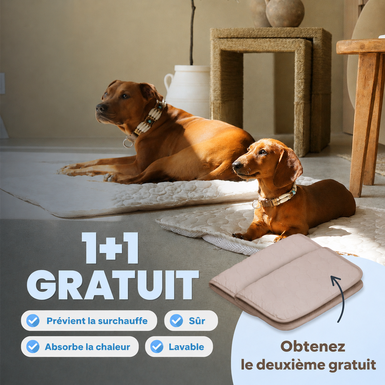 ArcticCloud® - Tapis rafraîchissant pour chien (1+1 OFFERT)