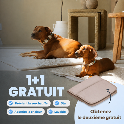 ArcticCloud® - Tapis rafraîchissant pour chien (1+1 OFFERT)