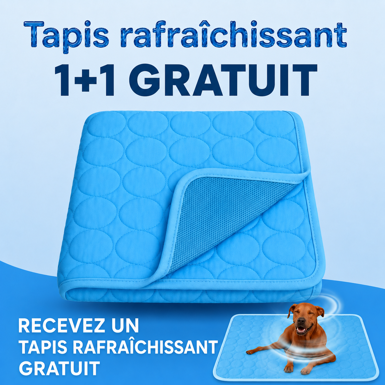 ArcticCloud® - Tapis rafraîchissant pour chien (1+1 OFFERT)