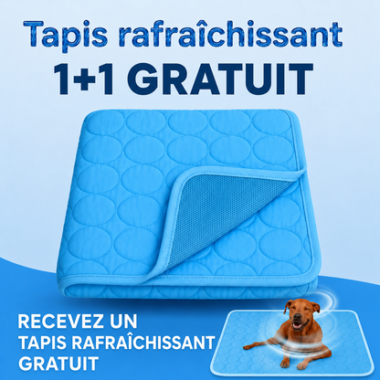 ArcticCloud® - Tapis rafraîchissant pour chien (1+1 OFFERT)