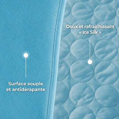 ArcticCloud® - Tapis rafraîchissant pour chien (1+1 OFFERT)