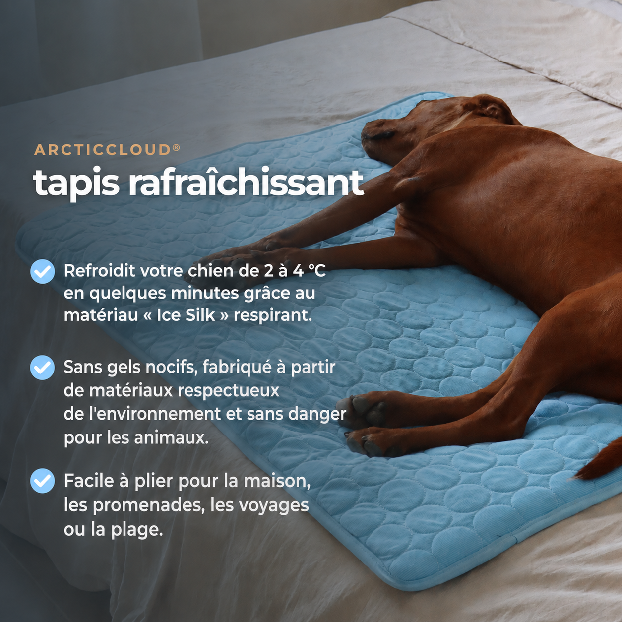 ArcticCloud® - Tapis rafraîchissant pour chien (1+1 OFFERT)