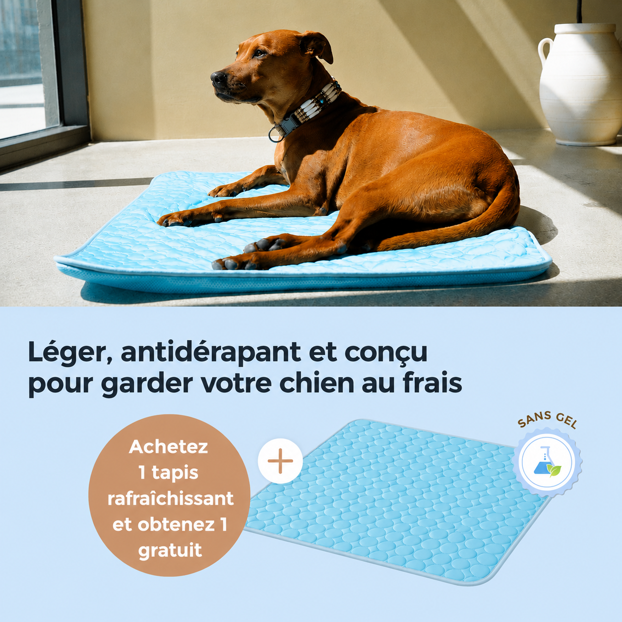 ArcticCloud® - Tapis rafraîchissant pour chien (1+1 OFFERT)