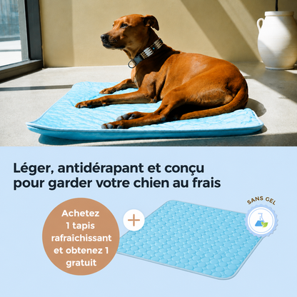 ArcticCloud® - Tapis rafraîchissant pour chien (1+1 OFFERT)