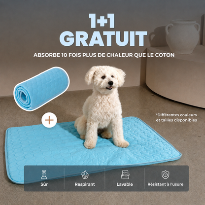 ArcticCloud® - Tapis rafraîchissant pour chien (1+1 OFFERT)