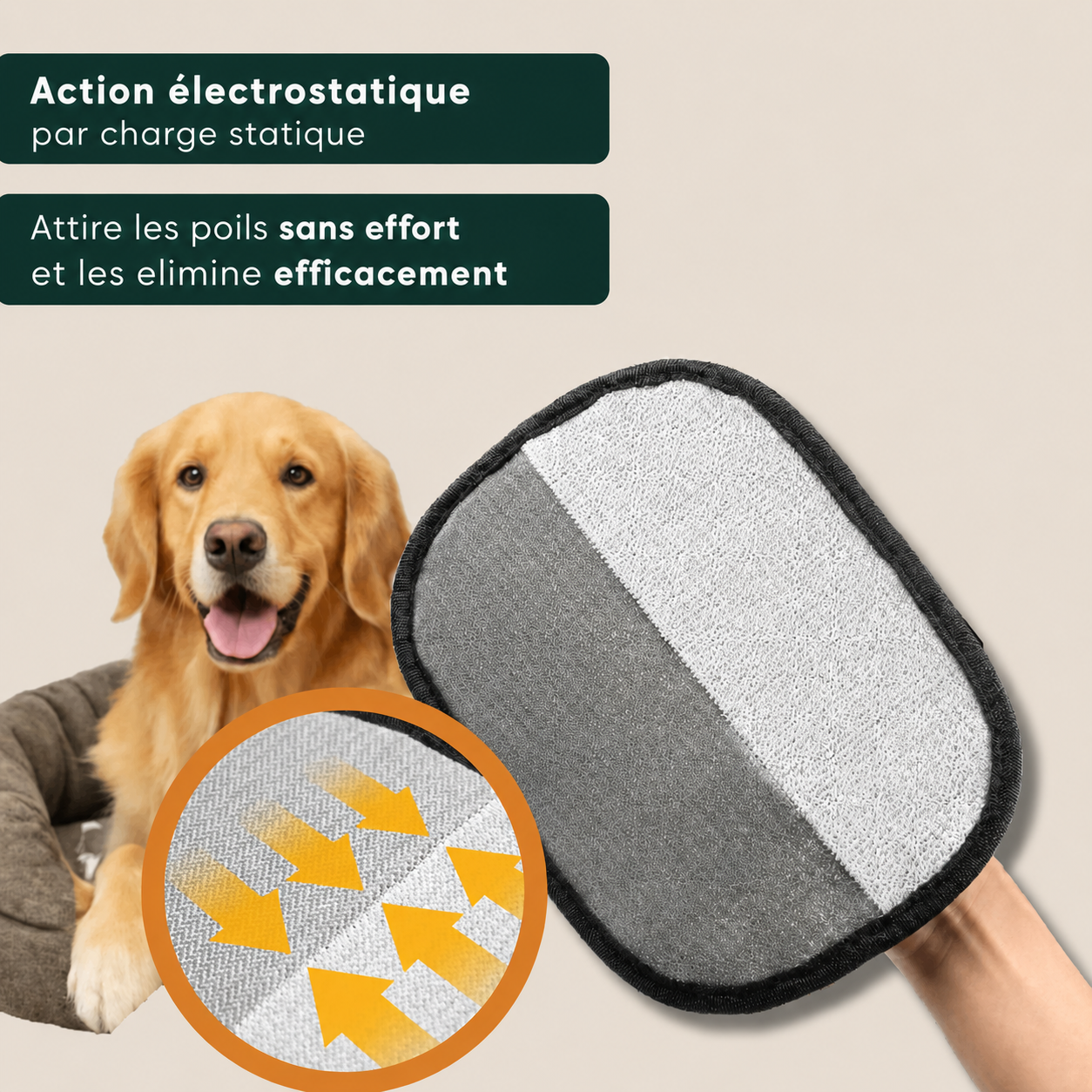 Épilateur Réutilisable pour Poils d’Animaux - Lot de 2
