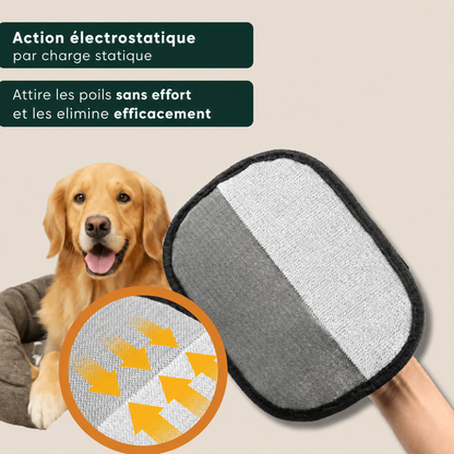 Épilateur Réutilisable pour Poils d’Animaux - Lot de 2