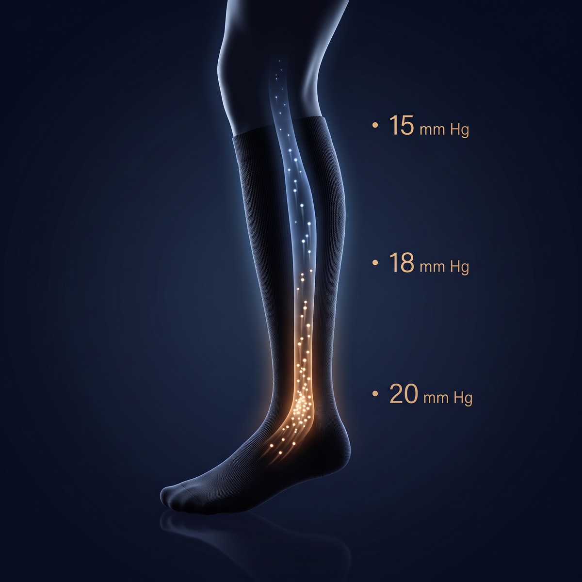 Bas de Compression