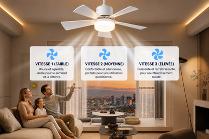 Ventilateur de plafond 2-en-1 avec télécommande