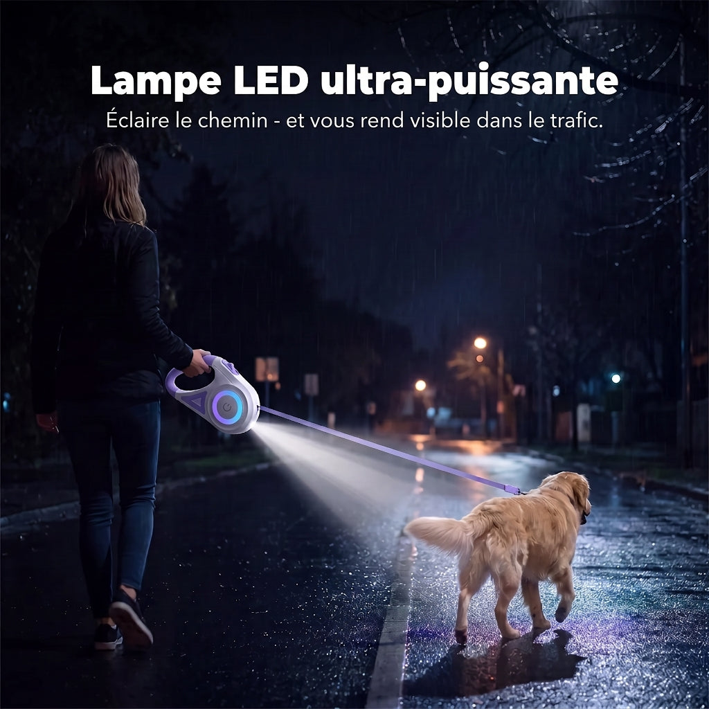 LumiLeash™ - Laisse Lumineuse
