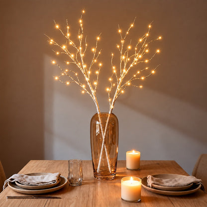 Branches LED à piles