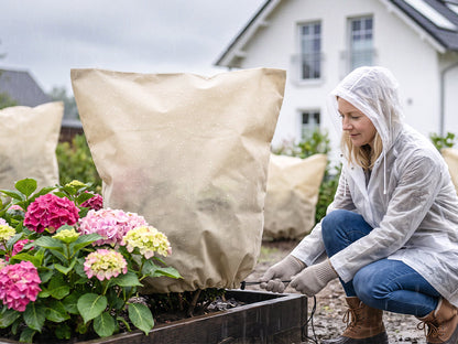 Protection des plantes contre la pluie et le gel