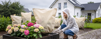 Protection des plantes contre la pluie et le gel
