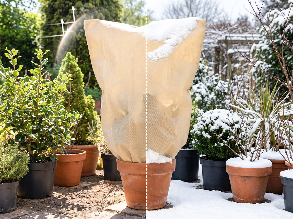 Protection des plantes contre la pluie et le gel
