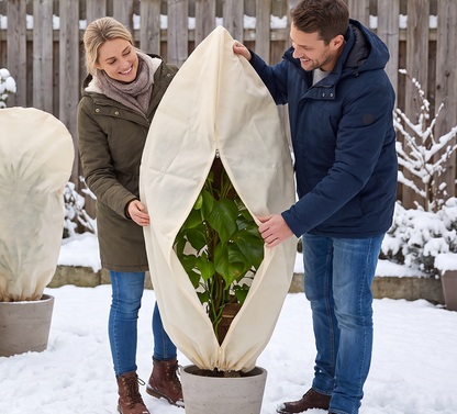 Protection des plantes contre la pluie et le gel