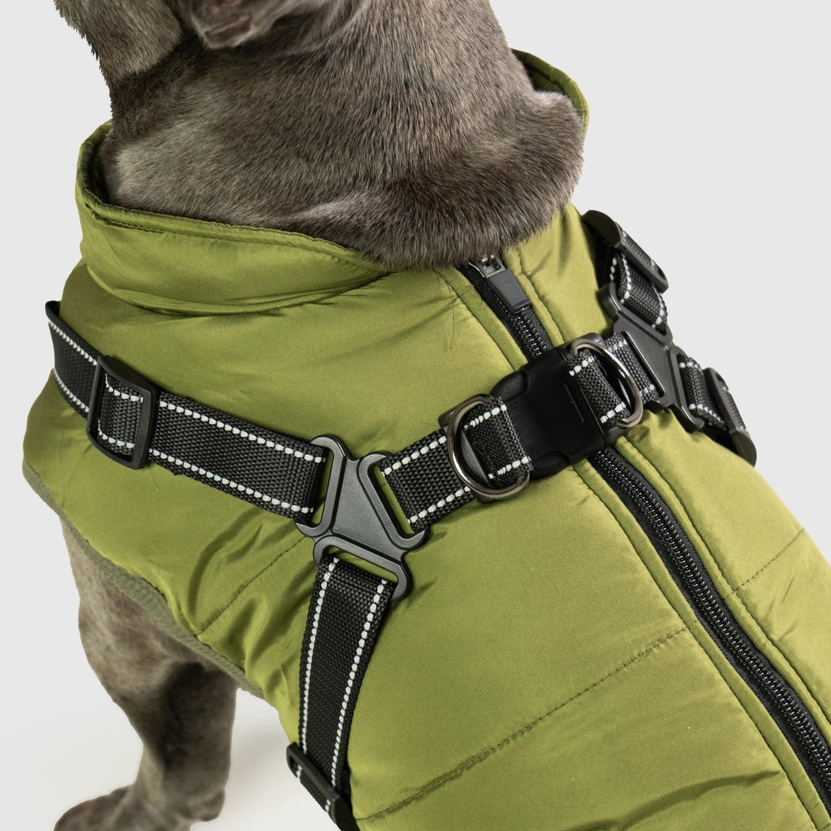 Petstar™ – Manteau d’hiver imperméable avec harnais intégré