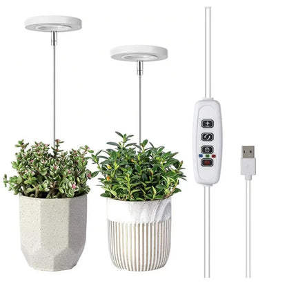 Éclairage pour plantes à spectre complet