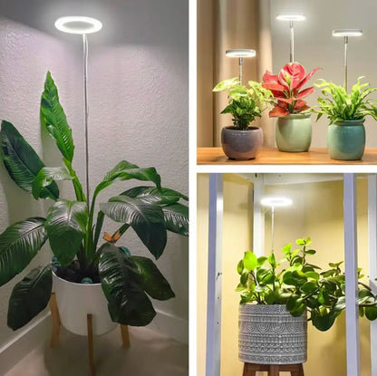 Éclairage pour plantes à spectre complet
