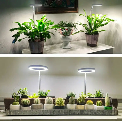 Éclairage pour plantes à spectre complet