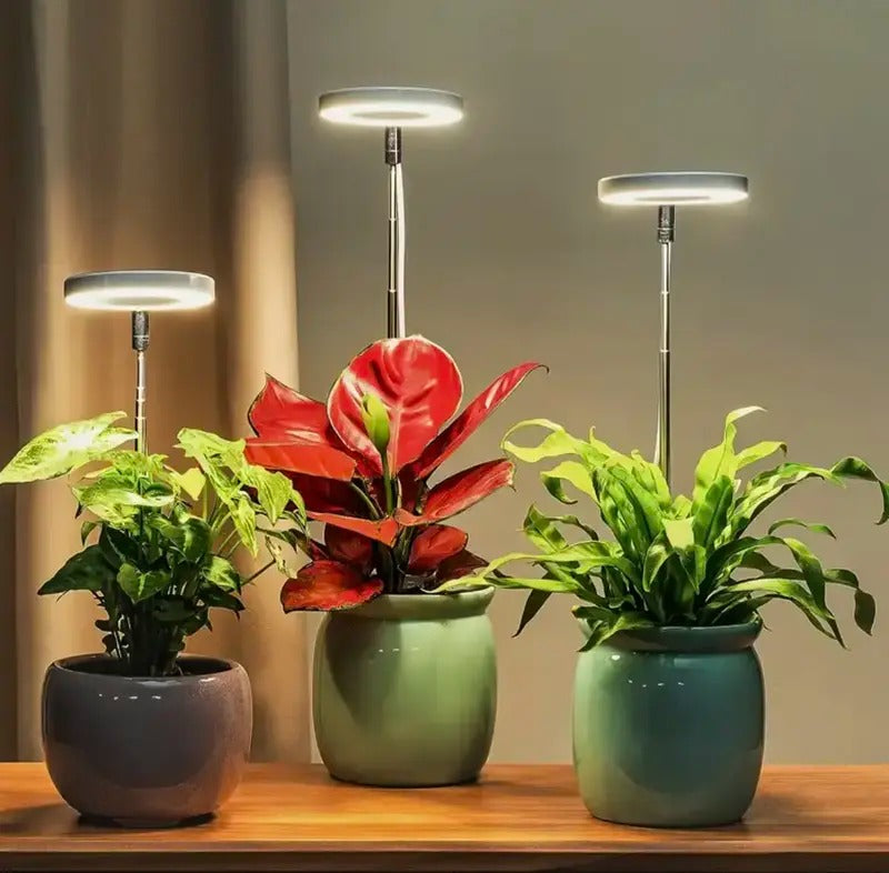 Éclairage pour plantes à spectre complet