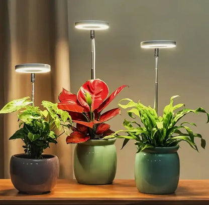 Éclairage pour plantes à spectre complet